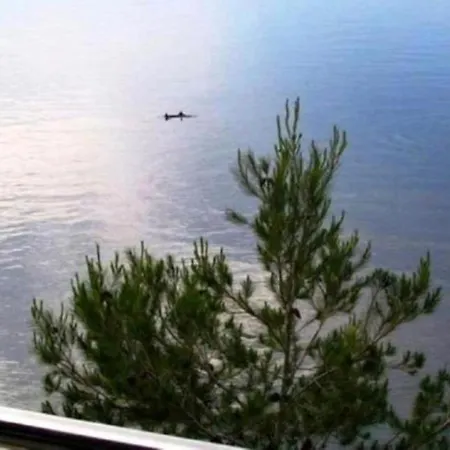 House Jakov *
