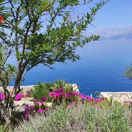 House Jakov Casa de Férias